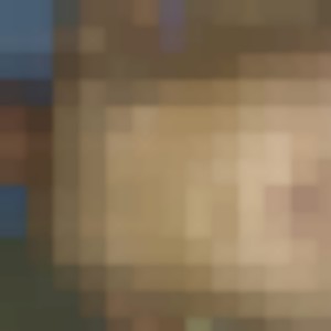 Mon album privé