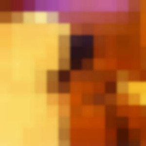 Mon album privé
