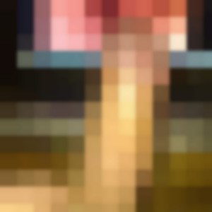 Mon album privé