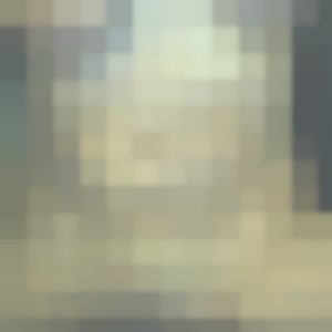 Mon album privé